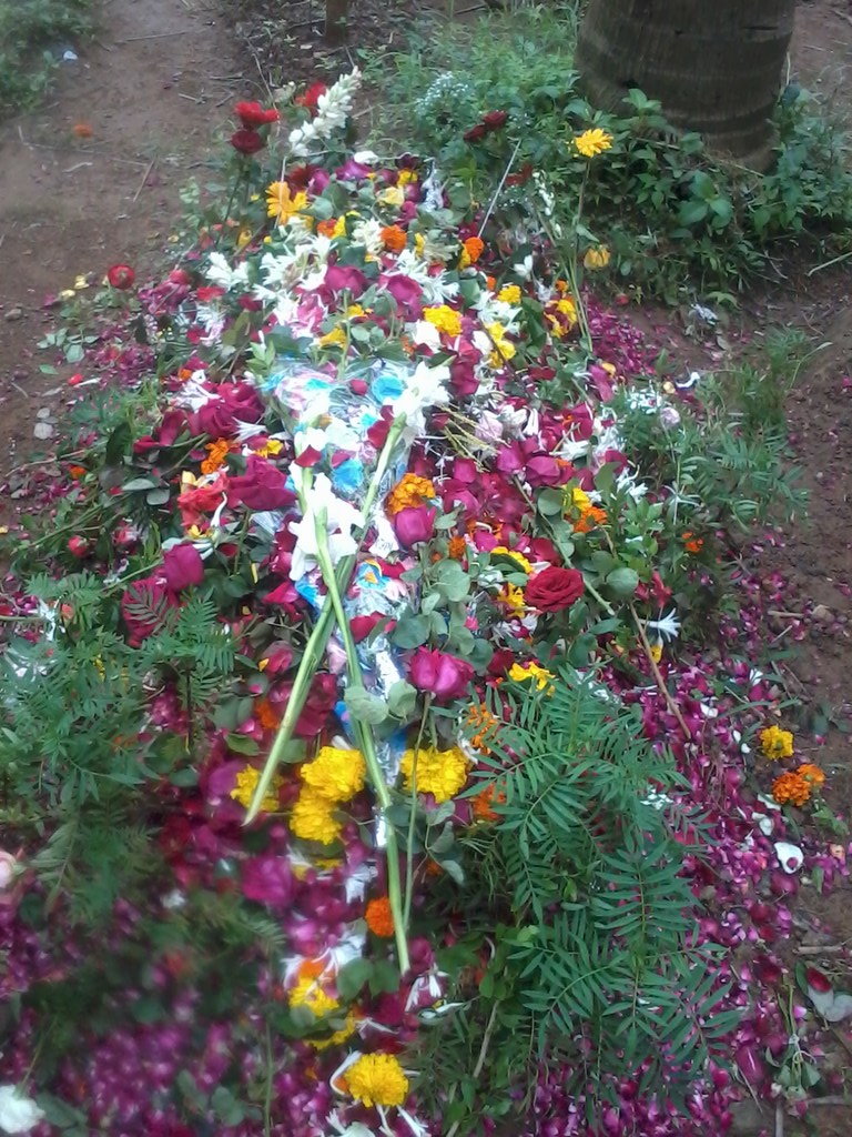 Rafisaab's Resting Place